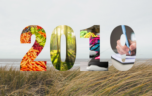 Blogvoornemens 2019