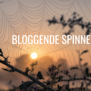 Bloggende spinnen