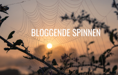 Bloggende spinnen